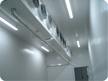 Galeria-Camara_Fria-05.png